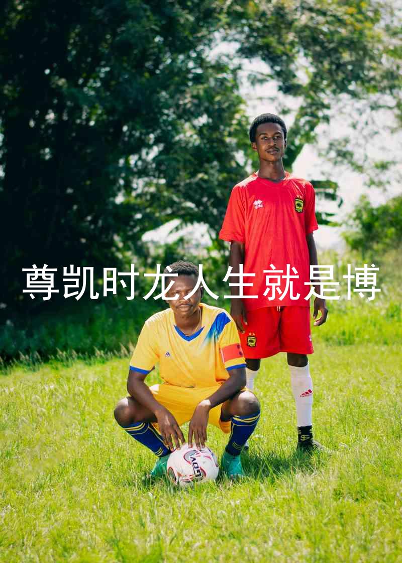 尊凯时龙人生就是博