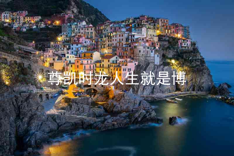 尊凯时龙人生就是博