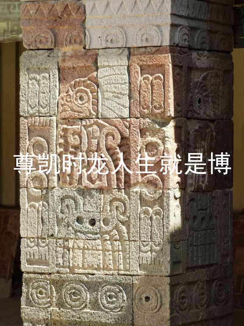 尊凯时龙人生就是博